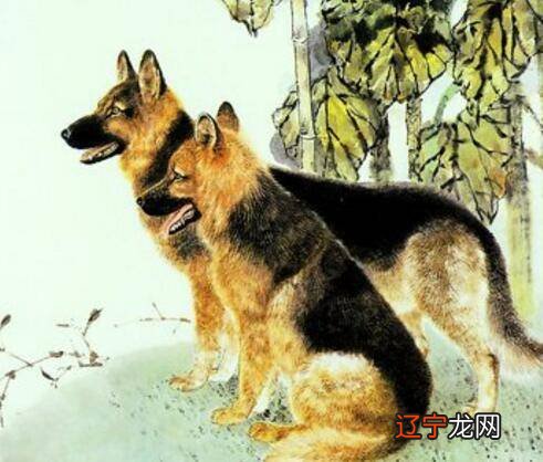 2012年9月9人是属什么生肖_生肖属狗人合作生财的缘分_狗坐轿子不识抬举是什么意思?属什么生肖?