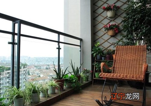 组图 阳台适合摆放什么植物?阳台植物如何摆放呢?