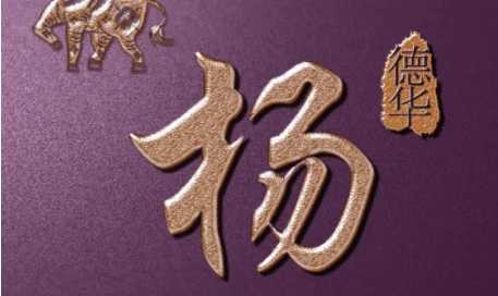 组图 杨姓氏取名字大全，姓杨的宝宝名字大全