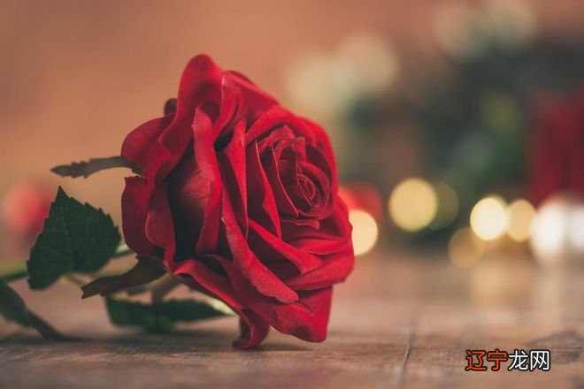 谁又能到底有多强？的小癖好，你知道吗？