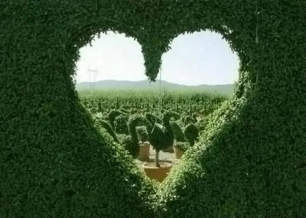 属本位星座以及火象星座，主宰行星：火星、冥王星