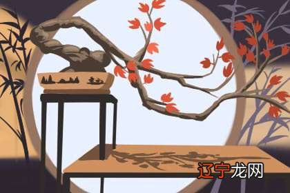 新手想学八字或者六爻求师傅们推荐入门书籍古书