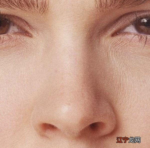 刘嘉玲鼻子相学_鼻子相学图解_相学女人最有福气的7种鼻子