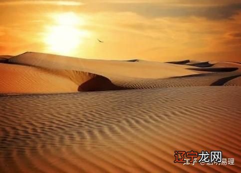 组图 从古至今,如果一个人一生必须要读一本书