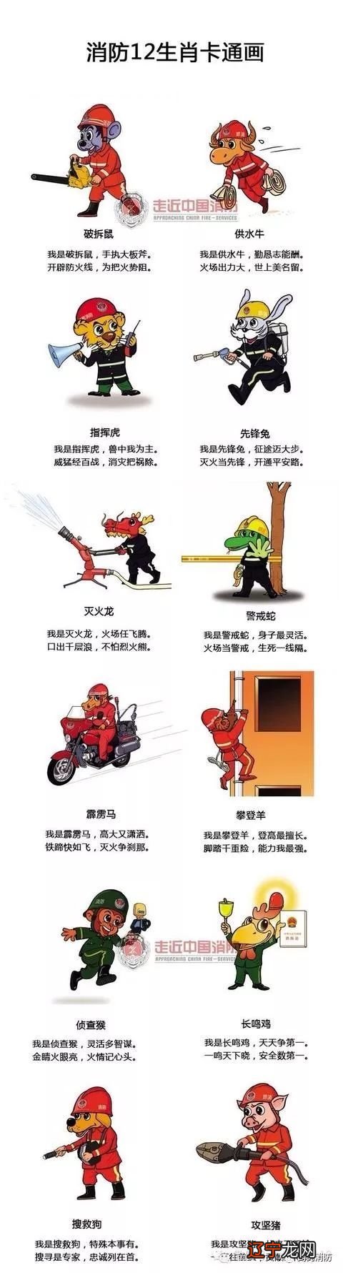 本命年的桃花运怎样属狗人年幸运颜色狗年本命年全年运势及运程