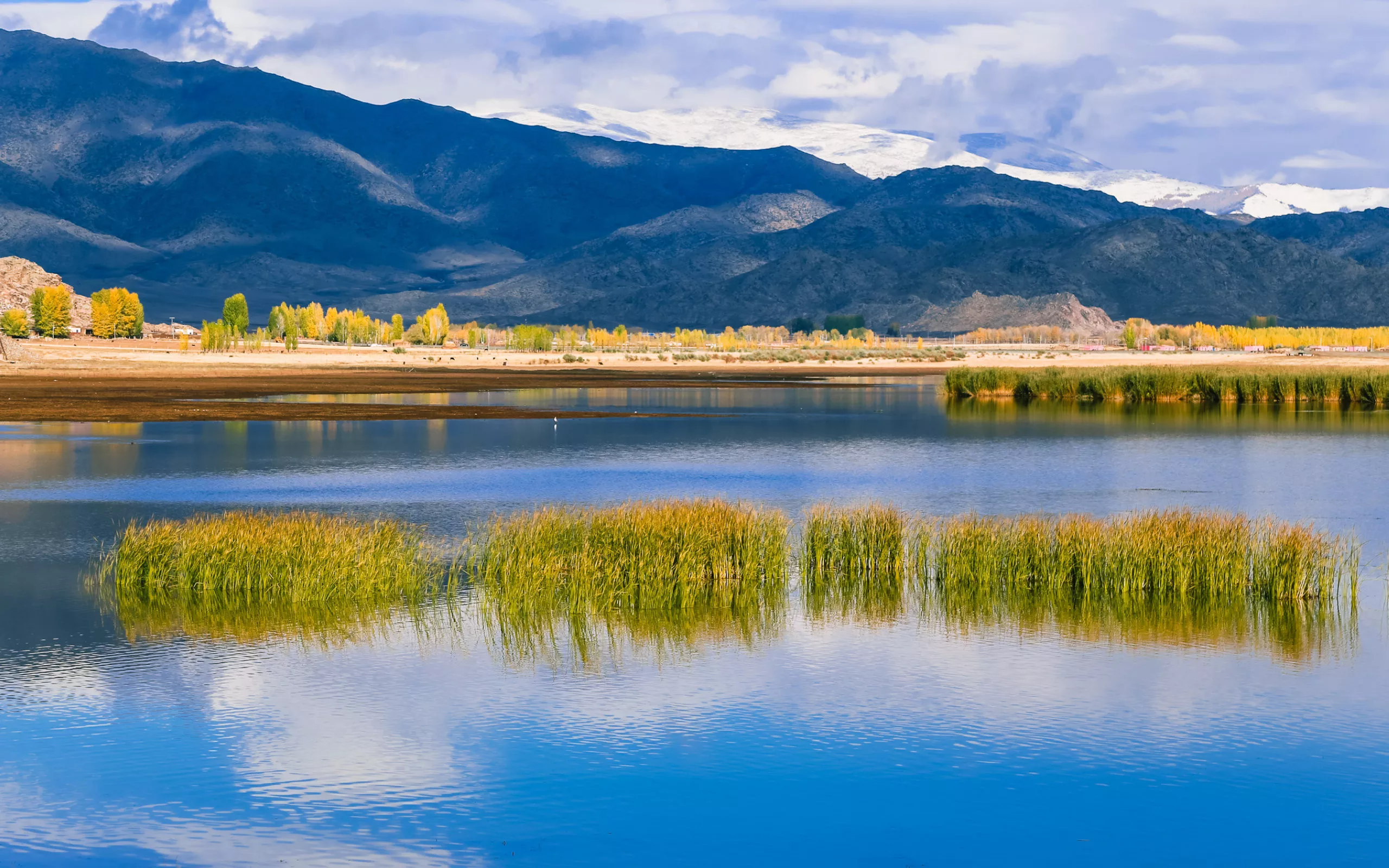 为什么陶白白那么火,你知道这是怎么回事运势吗?