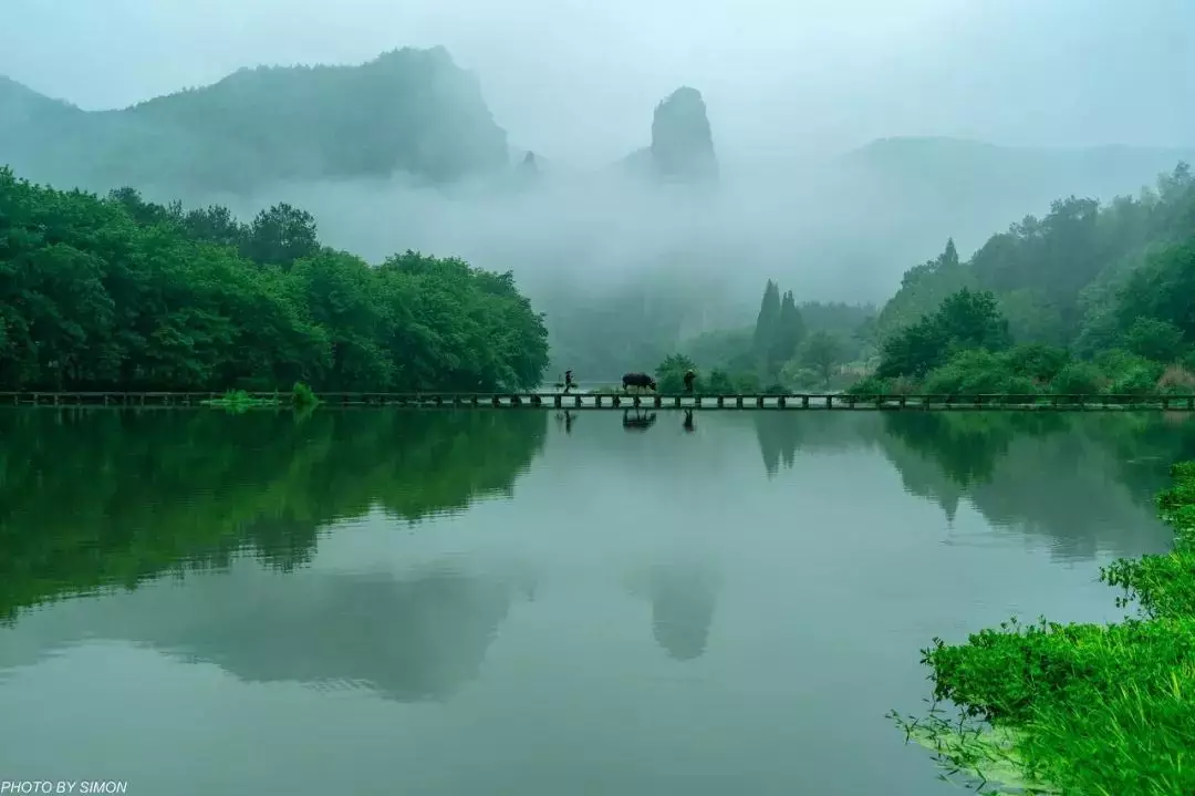 为什么陶白白那么火,你知道这是怎么回事运势吗?