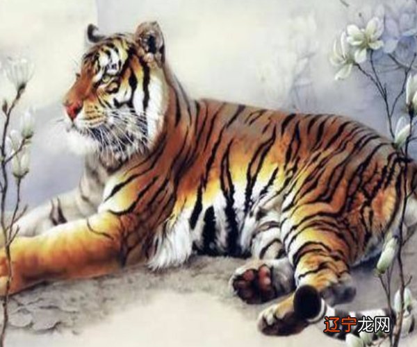 这女强、表面温柔、内心狂野、活泼又狂野