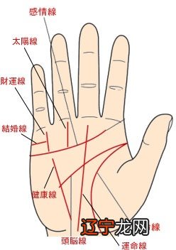 女人手掌上的八大丘、木星丘和土星丘火星丘