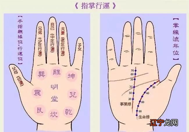 女人手掌上的八大丘、木星丘和土星丘火星丘