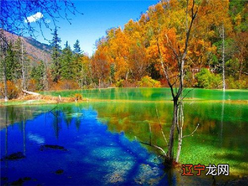 磊落在四季出生的属虎人性格特点分别有哪些不同