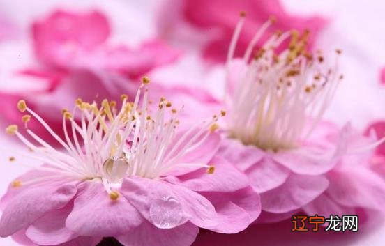 风水堂:八字合婚是如何测看的