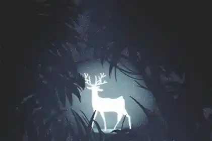 盲派风水堂:盲派命理高级班教程命理