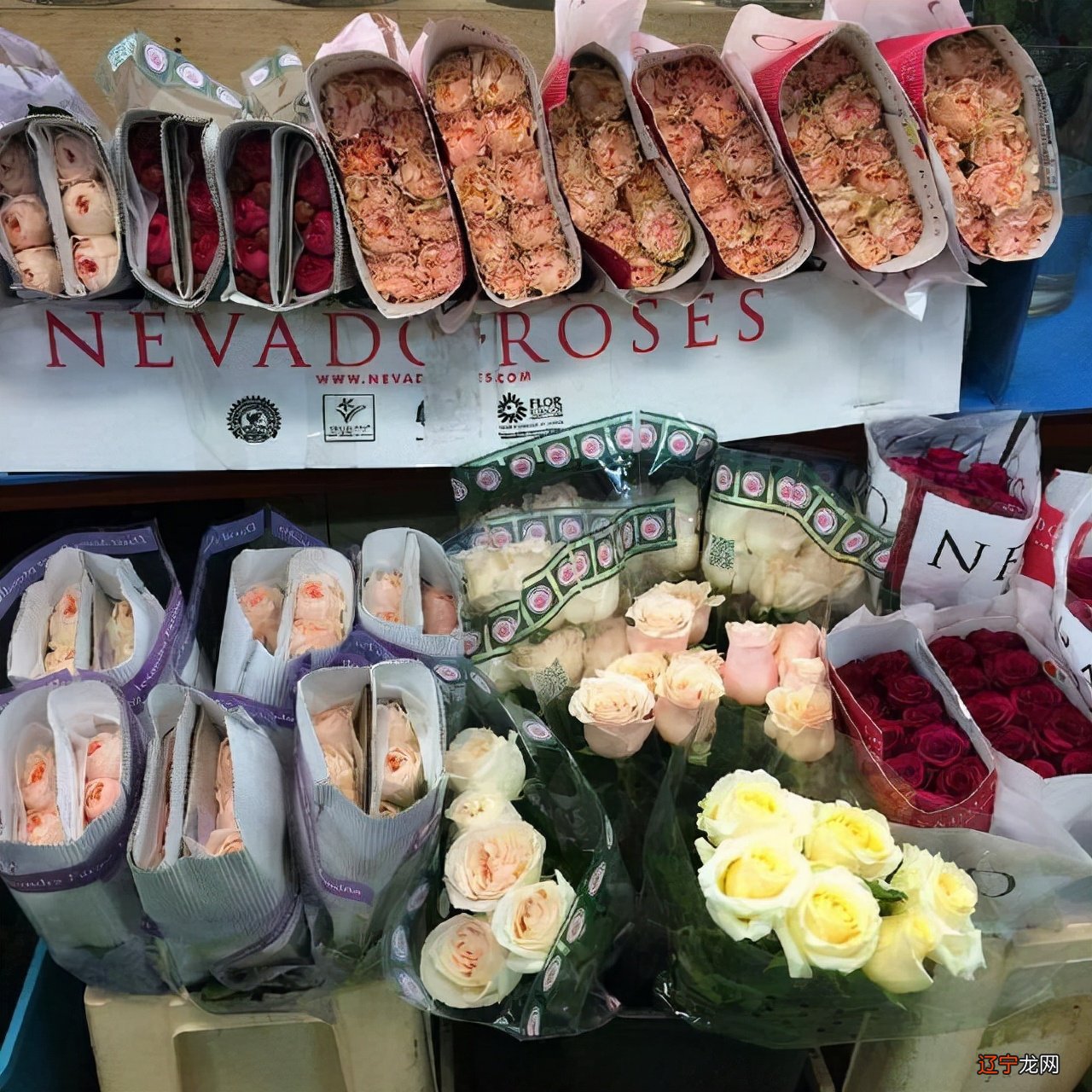 天蝎座和巨蟹座都很深情巨蟹座的星座,有你吗?