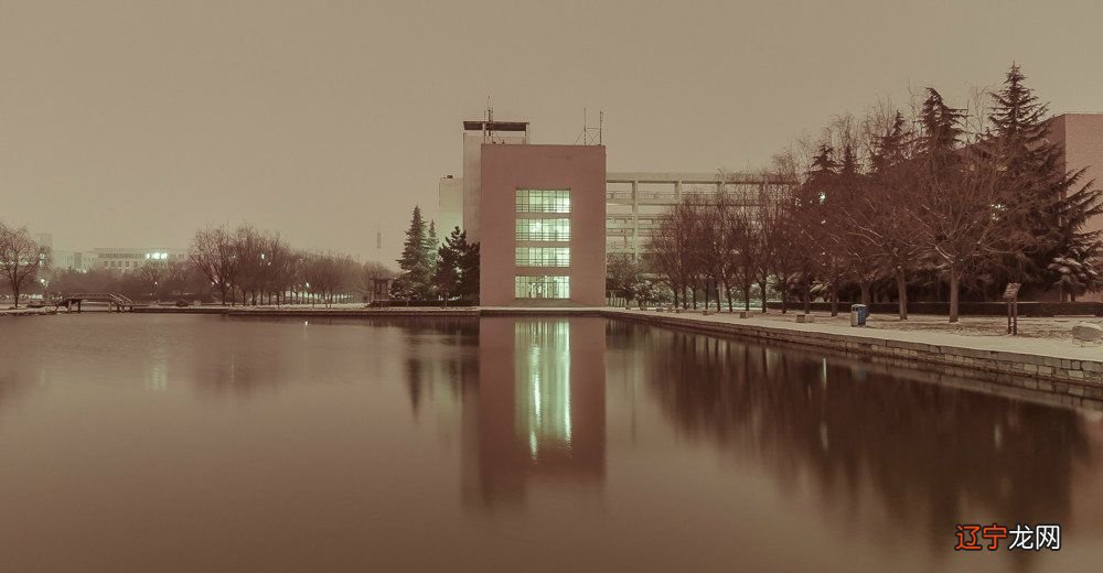 组图 叮叮叮,小雪来了,初雪还会远吗?