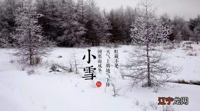 节日文化民俗活动_民俗活动作文500字新年_冬季民俗活动