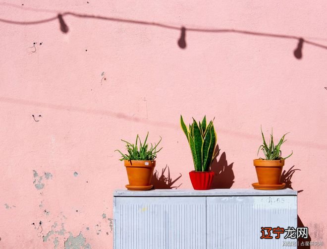 克莉丝汀每周星座运势10.24-10.30汀