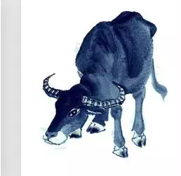 十二生肖三合三冲大全，属鼠三合和三冲属相