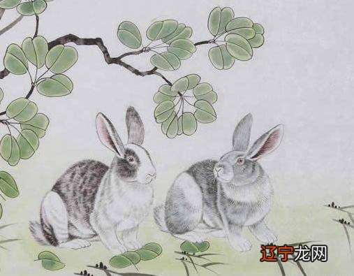 1975年属兔的和什么属相最配,你知道这是怎么回事?