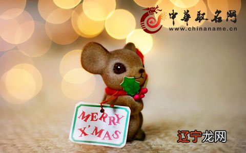 198 5年属什么生肖_88年属啥的属相与什么生肖相冲_1977年生肖属什么生肖