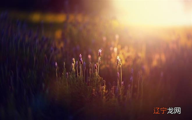 怎么将你的恋爱盲点点石成金?优势大揭秘!