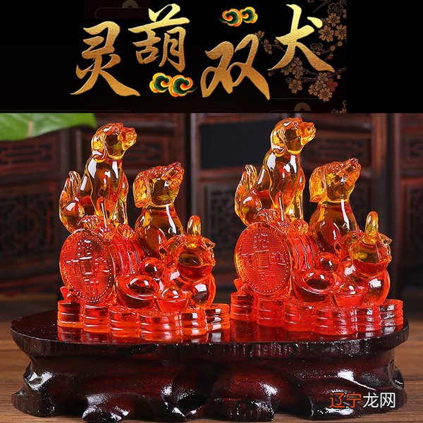 预测生肖属兔人2017鸡年运程及破解方法