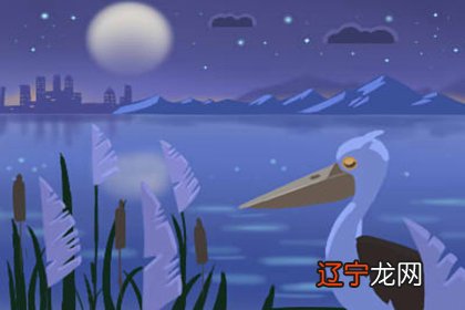 预测生肖属兔人2017鸡年运程及破解方法