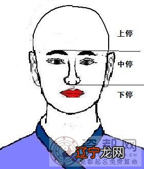 学入门python看哪些书_学策划该看哪些书_想学面相学看什么书最好