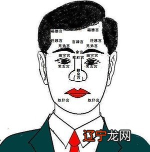 学入门python看哪些书_想学面相学看什么书最好_学策划该看哪些书