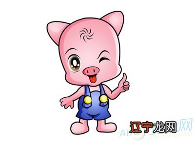 图 1995年属猪一生的命运95年运势大全解读