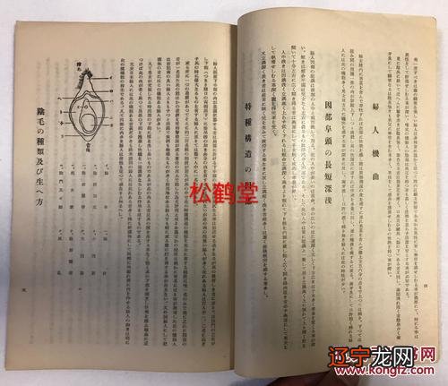 组图 男人眼睛周围全是皱纹面相学男人眉毛怎么看