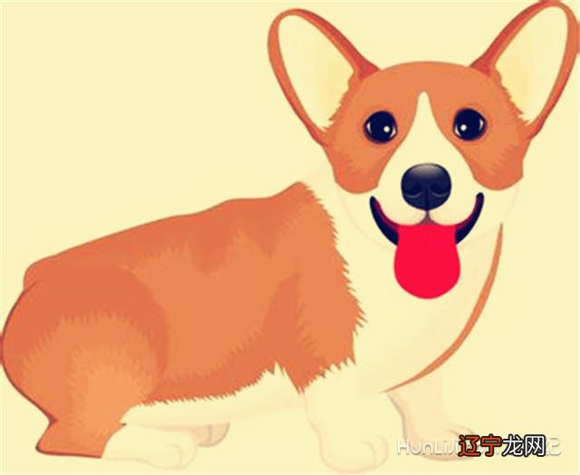 组图 哪些生肖的两个人最难不幸福?