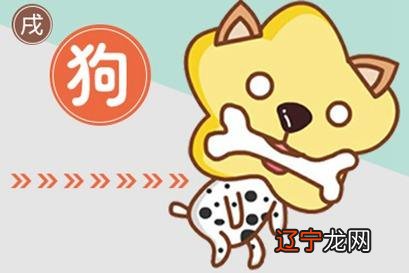 组图 生肖狗五行属什么,属狗的五行求解