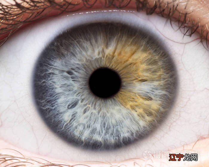 金刀大相:一见必灵之相眼秘诀秘诀