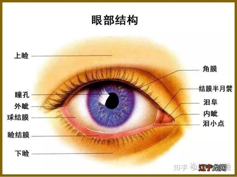 金刀大相:一见必灵之相眼秘诀秘诀