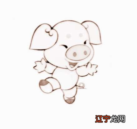 属猪和属鸡的婚配好吗