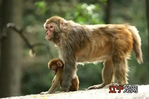 风水堂:十天干的含义和含义