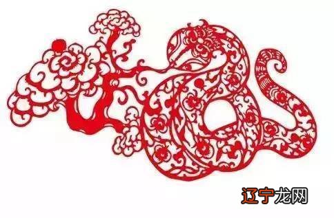 一生运势详批解读生辰密码,洞悉命定机遇,创造大富大贵人生