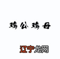 千马万猴属什么生肖_属猴 同个生肖_猴生肖和属生肖相配吗