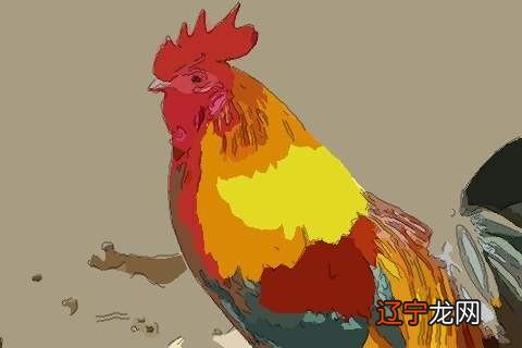 详解 属鸡2018年十二生肖运势及运程详解出生