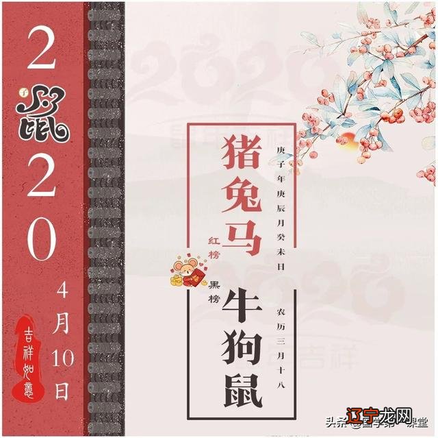 青岛 弥书涛12生肖预测卯兔凤凰运势