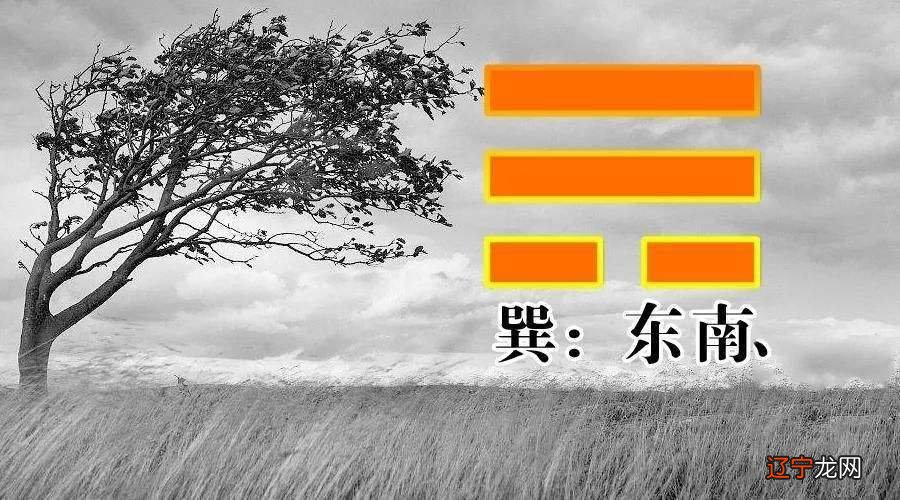 图 风水堂：初吉卦