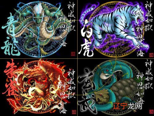 玄武指的是龟,而不是蛇呢,龟蛇相争