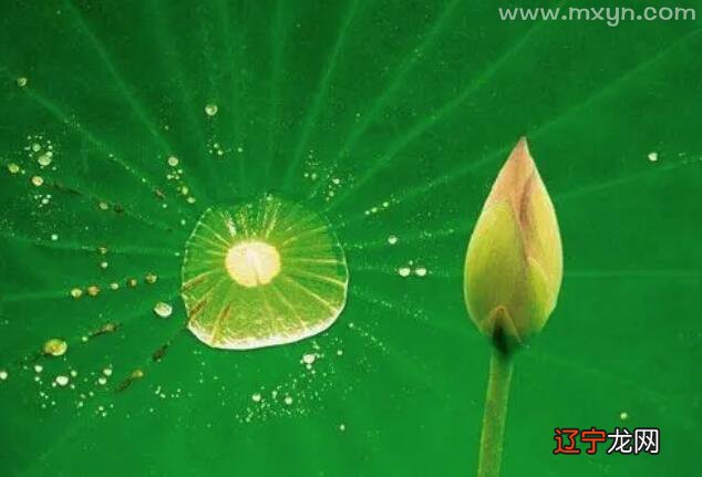 不妨风水堂:梦见鱼在浅水中挣扎