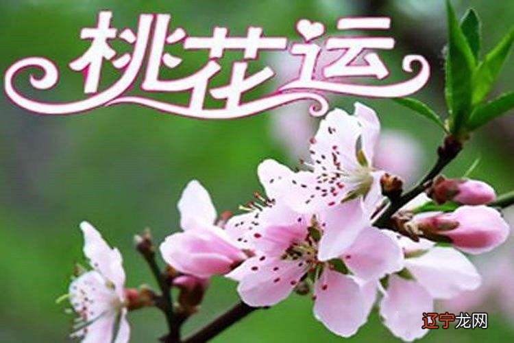 八字桃花八字命理和八字算桃花，教你如何算桃花运