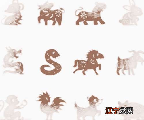 属老鼠的属相婚配表应该找什么属相的男生？