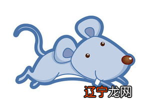 属老鼠的属相婚配表应该找什么属相的男生？