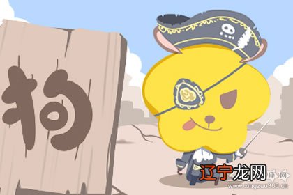 12生肖属狗人的婚配结果,看看你是哪种?