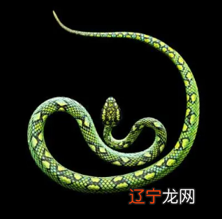 不同年份属蛇的2022年几岁93岁虚岁94岁