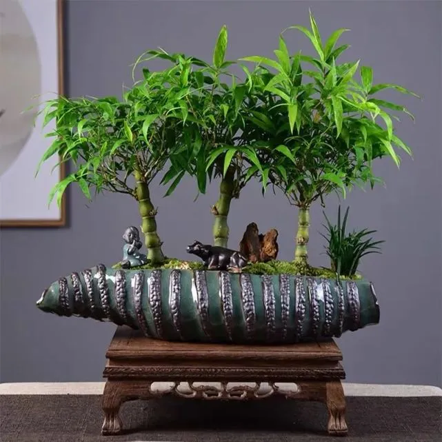 二 庭院种植的吉祥风水植物，你知道吗？